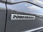 2025 Ford F-150 SuperCrew Cab 4x4 Pickup for sale #F22200 - photo 15