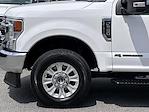 2020 Ford F-250 Crew Cab 4x4 Pickup for sale #F22218A - photo 6