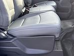 2025 Ford F-450 Regular Cab DRW 4x4 Cab Chassis for sale #F22244 - photo 11