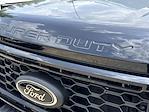2025 Ford F-350 Crew Cab SRW 4x4 Pickup for sale #F22245 - photo 18