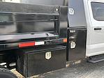 2025 Ford F-450 Crew Cab DRW 4x2 Dump Truck for sale #F22477 - photo 10