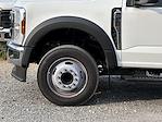 2025 Ford F-450 Crew Cab DRW 4x2 Dump Truck for sale #F22477 - photo 5