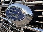 2025 Ford F-450 Crew Cab DRW 4WD Landscape Dump for sale #F22677 - photo 13