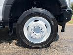 Used 2020 Ford F-450 Regular Cab Box Truck for sale #18346 - photo 7