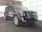 Used 2019 Cadillac Escalade ESV Platinum for sale #A1F-97588 - photo 1