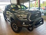 Used 2019 Toyota Tacoma SR Double Cab for sale #A3FP-07065 - photo 3