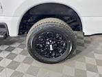 2025 Ford F-250 Crew Cab 4WD Pickup for sale #SED03383 - photo 20