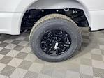 2025 Ford F-350 Crew Cab SRW 4WD Pickup for sale #SED37239 - photo 20