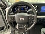 New 2025 Ford F-450 Regular Cab 4WD DRW Pickup for sale #SED73032 - photo 14