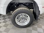 New 2025 Ford F-450 Regular Cab 4WD DRW Pickup for sale #SED73032 - photo 20