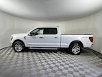 2025 Ford F-150 SuperCrew Cab 4WD Pickup for sale #SFA82710 - photo 3