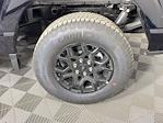 2025 Ford F-150 SuperCrew Cab 4WD Pickup for sale #SFB20498 - photo 20