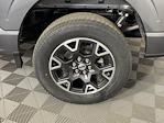 2025 Ford F-150 SuperCrew Cab 4WD Pickup for sale #SKD57219 - photo 20