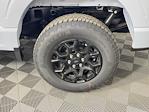 2025 Ford F-150 SuperCrew Cab 4WD Pickup for sale #SKE00375 - photo 20