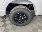 2025 Ford F-150 SuperCrew Cab 4WD Pickup for sale #SKE68536 - photo 20