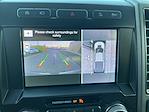 2019 Ford F-150 SuperCrew Cab 4x4 Pickup for sale #245262 - photo 15