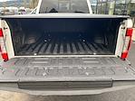 2019 Ford F-350 Crew Cab SRW 4x4 Pickup for sale #255002P - photo 10