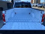 2023 Ford F-150 SuperCrew Cab 4x4 Pickup for sale #255091P - photo 9