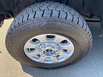 2023 Ford F-350 Crew Cab SRW 4x4 Pickup for sale #255097P - photo 10