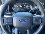 2023 Ford F-350 Crew Cab SRW 4x4 Pickup for sale #255097P - photo 11