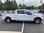 2017 Ford F-150 SuperCrew Cab 4x4 Pickup for sale #255114 - photo 8