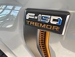 2023 Ford F-150 SuperCrew Cab 4x4 Pickup for sale #255150P - photo 9