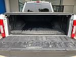 2022 Ford F-350 Crew Cab SRW 4x4 Pickup for sale #255152P - photo 13