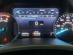 2022 Ford F-350 Crew Cab SRW 4x4 Pickup for sale #255152P - photo 19