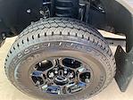 2023 Ford F-350 Crew Cab SRW 4x4 Pickup for sale #255159P - photo 10