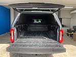 2023 Ford F-350 Crew Cab SRW 4x4 Pickup for sale #255159P - photo 9