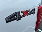 2023 Ford F-350 Crew Cab SRW 4x4 Pickup for sale #255190P - photo 32