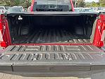 2022 Ford F-350 Crew Cab SRW 4x4 Pickup for sale #255252P - photo 10