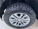 2024 Ford F-150 SuperCrew Cab 4WD Pickup for sale #255294P - photo 10