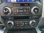 2020 Ford F-450 Crew Cab DRW 4WD Pickup for sale #255335P - photo 16
