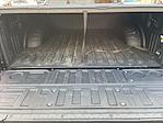 2023 Ford F-250 Crew Cab 4WD Pickup for sale #255340 - photo 9