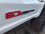 2024 Ford F-350 Crew Cab SRW 4WD Pickup for sale #255361P - photo 38