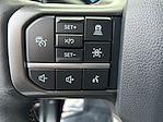 2024 Ford F-150 SuperCrew Cab 4WD Pickup for sale #255363P - photo 29