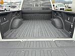 Used 2024 Ford F-250 Platinum Crew Cab for sale #255364P - photo 3