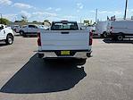 2024 Chevrolet Silverado 1500 Regular Cab 4x2 Pickup for sale #13003 - photo 7