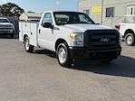 2015 Ford F-250 Regular Cab 4x2 Cab Chassis for sale #13022 - photo 3