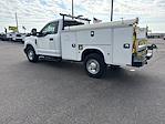 Used 2017 Ford F-250 Regular Cab Cab Chassis for sale #13075 - photo 2