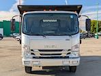 2017 Isuzu NRR Regular Cab 4x2 Landscape Dump for sale #303840 - photo 6
