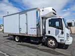 Used 2016 Isuzu NQR Freezer Refrigeration Reefer 18FT Box Truck DIESEL Regular Cab 4x2 Refrigerated Body for sale #901430 - photo 1