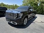 2023 GMC Sierra 1500 Crew Cab 4x4 Pickup for sale #JG2721ZA - photo 1