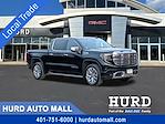 2024 GMC Sierra 1500 Crew Cab 4WD Pickup for sale #JG3076A - photo 1