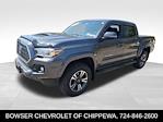 2019 Toyota Tacoma Double Cab 4WD Pickup for sale #CH25175C - photo 1