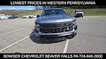 2025 Chevrolet Silverado 1500 Regular Cab 4x4 Pickup for sale #CH25325 - photo 9