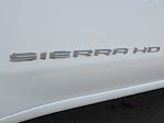 2025 GMC Sierra 3500 Regular Cab 4WD Pickup for sale #280353 - photo 10