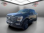 2023 Ford F-150 SuperCrew Cab 4x4 Pickup for sale #11192 - photo 1