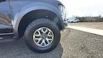 2023 Ford F-150 SuperCrew Cab 4x4 Pickup for sale #11193 - photo 17